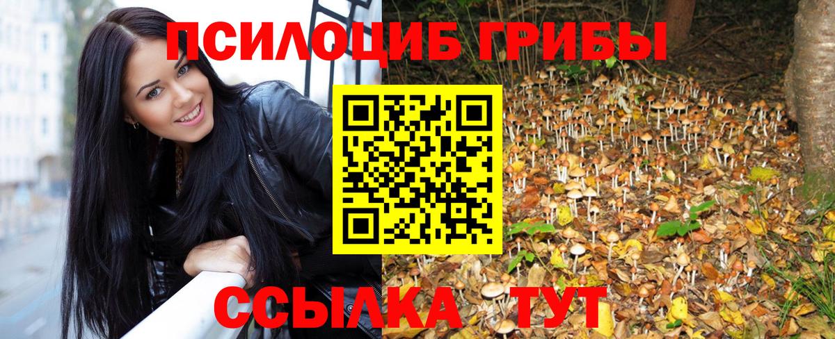 Улан-Удэ  Галлюциногенные грибы Psilocybe  Вход с VPN 